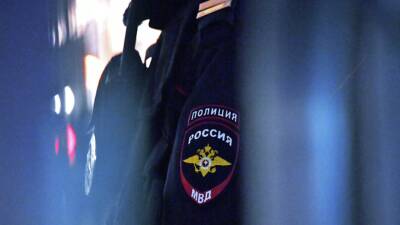 ТАСС: в Челябинске задержали планировавшего взорвать в школе самодельную пиротехнику - russian.rt.com - Московская обл. - Челябинск