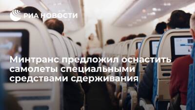 Минтранс предложил предоставить членам экипажа право применять средства сдерживания - ria.ru - Москва - Россия