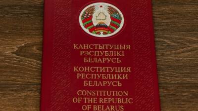 Александр Лукашенко - Игорь Карпенко - ЦИК Беларуси утвердил план подготовки и проведения референдума по Конституции - mir24.tv - Белоруссия
