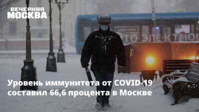 Уровень иммунитета от COVID-19 составил 66,6 процента в Москве - vm.ru - Москва - Италия - Москва