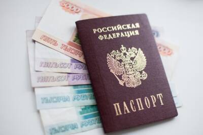 Гражданам в РФ разъяснили информацию о разовой выплате в 17 200 рублей с 2 февраля 2022 года - abnews.ru - Россия
