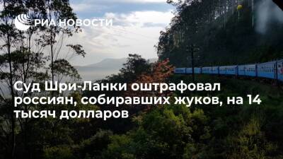 Суд Шри-Ланки приговорил россиян, собиравших жуков, к штрафу и условному сроку - ria.ru - Москва - Россия - США - Шри Ланка