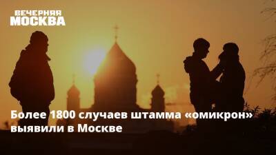 Наталья Пшеничная - Более 1800 случаев штамма «омикрон» выявили в Москве - vm.ru - Москва - Египет - Московская обл. - Турция - Эмираты - Доминиканская Республика - Москва