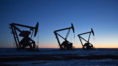 Наталья Мильчакова - Экономист Мильчакова рассказала о причинах роста цен на нефть - russian.rt.com