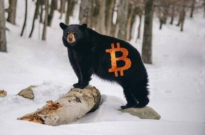 «Медведи» теряют силу: в Bloomberg увидели готовность биткоина к росту - smartmoney.one - Украина