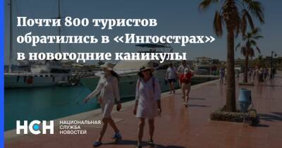 Почти 800 туристов обратились в «Ингосстрах» в новогодние каникулы - nsn.fm - Россия - Египет - Турция - Эмираты - Таиланд - Шри Ланка