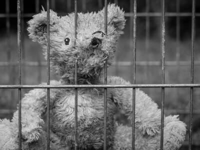 В России задержали супругов-педофилов: отец насиловал дочь, а мать — сына - bloknot.ru - Россия - Белгородская обл. - Следственный Комитет