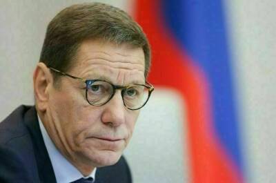 Александр Жуков - Михаил Мишустин - Жуков оценил промежуточные итоги двухлетней работы правительства Мишустина - pnp.ru - Россия
