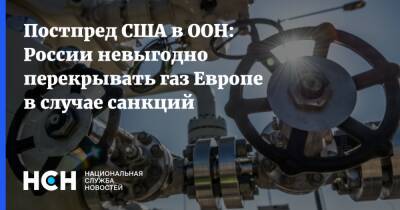 Линда Томас-Гринфилд - Постпред США в ООН: России невыгодно перекрывать газ Европе в случае санкций - nsn.fm - Москва - Россия - США - Украина - Европа