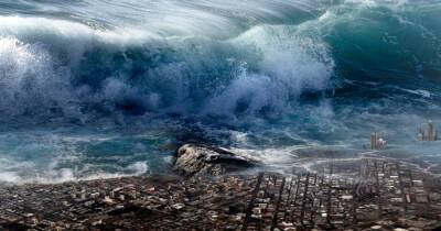 "Реальный Аквамен" рассказал, как выжил при цунами и сутки плыл к суше - ren.tv - Тонга
