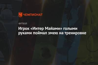 Игрок «Интер Майами» голыми руками поймал змею на тренировке - championat.com - Техас