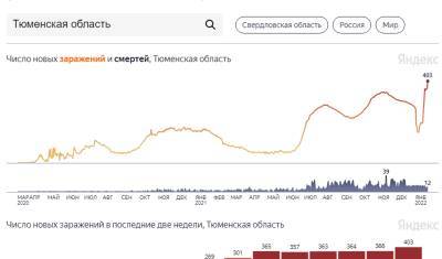 Число заболевших COVID-19 в России превысило 11 млн. В Тюмени новый рекорд - nashgorod.ru - Россия - Тюмень - Тюменская обл. - Югра - окр. Янао