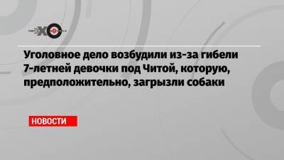 Уголовное дело возбудили из-за гибели 7-летней девочки под Читой, которую, предположительно, загрызли собаки - echo.msk.ru - Чита