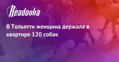 В Тольятти женщина держала в квартире 120 собак - readovka.ru - Тольятти