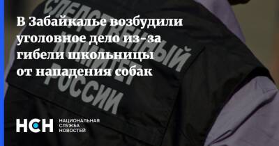 В Забайкалье возбудили уголовное дело из-за гибели школьницы от нападения собак - nsn.fm - Россия - Забайкальский край - Следственный Комитет