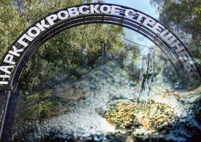 Заповедные родники в Москве могут заменить пластиковыми резервуарами - mskgazeta.ru - Москва