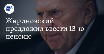 Владимир Жириновский - Ярослав Нилов - Жириновский предложил ввести 13-ю пенсию - ura.news - Россия