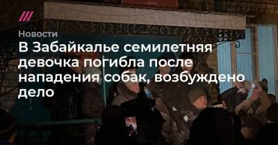 Александр Осипов - В Забайкалье семилетняя девочка погибла после нападения собак, возбуждено дело - tvrain.ru - Россия - Забайкальский край