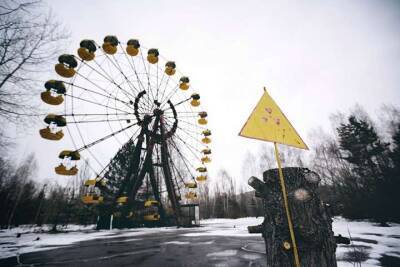 В Чернобыле показали пугающих животных, лишенных важной части тела (фото) - vchaspik.ua - Украина