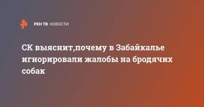 Александр Бастрыкин - СК выяснит,почему в Забайкалье игнорировали жалобы на бродячих собак - ren.tv - Россия