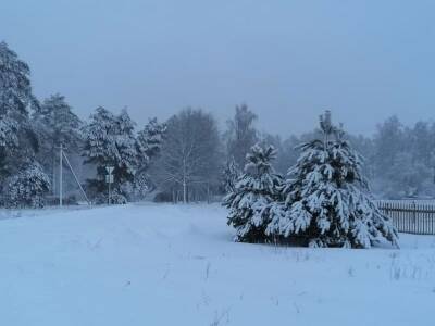 Какой высоты достиг снежный покров в Смоленске - rabochy-put.ru - Смоленск