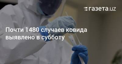 Почти 1480 случаев ковида выявлено в субботу - gazeta.uz - Узбекистан - Ташкент