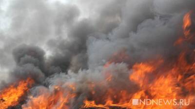 Зоя Осколкова - В США из-за пожара эвакуируют население - newdaynews.ru - Лос-Анджелес - USA - шт. Калифорния - state California - Reuters