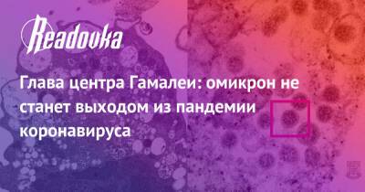 Михаил Мурашко - Александр Гинцбург - Глава центра Гамалеи: омикрон не станет выходом из пандемии коронавируса - readovka.ru - Россия - Египет - Юар - Ботсвана