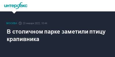 В столичном парке заметили птицу крапивник - interfax.ru - Москва - Москва