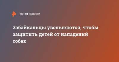 Забайкальцы увольняются, чтобы защитить детей от нападений собак - ren.tv