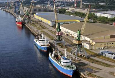 Мурманский рыбный порт подал иск к Минэнерго более чем на 72 млн рублей - abnews