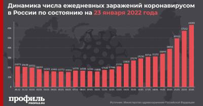 В России выявили 63205 новых случаев заражения COVID-19 - profile.ru - Москва - Россия - Санкт-Петербург - Московская обл.