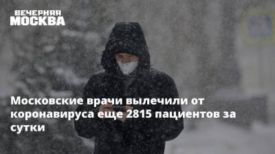 Геннадий Онищенко - Александр Гинцбург - Московские врачи вылечили от коронавируса еще 2815 пациентов за сутки - vm.ru - Москва - Россия - Москва