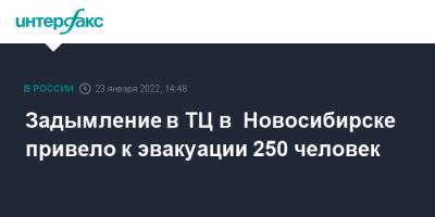 Карл Маркс - Задымление в ТЦ в Новосибирске привело к эвакуации 250 человек - interfax.ru - Москва - Новосибирск - Новосибирск