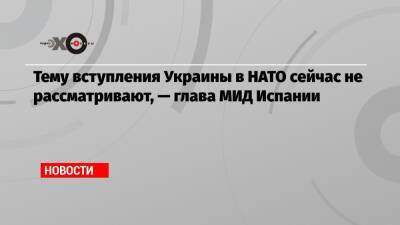Хосе Мануэль Альбарес - Тему вступления Украины в НАТО сейчас не рассматривают, — глава МИД Испании - echo.msk.ru - Украина - Швеция - Испания - Финляндия
