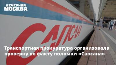 Транспортная прокуратура организовала проверку по факту поломки «Сапсана» - vm.ru - Москва - Санкт-Петербург - Московская обл.