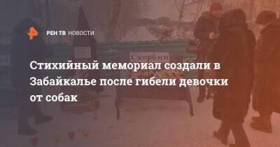 Стихийный мемориал создали в Забайкалье после гибели девочки от собак - ren.tv - Забайкальский край - Чита