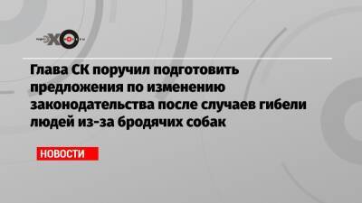 Александр Бастрыкин - Глава СК поручил подготовить предложения по изменению законодательства после нападения на людей бродячих собак - echo.msk.ru - Чита