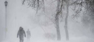 Карелия в понедельник будет во власти сильного ветра и снега - stolicaonego.ru - Петрозаводск - республика Карелия