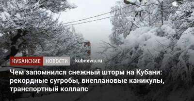 Чем запомнился снежный шторм на Кубани: рекордные сугробы, внеплановые каникулы, транспортный коллапс - kubnews.ru - Краснодарский край - Краснодар - район Туапсинский