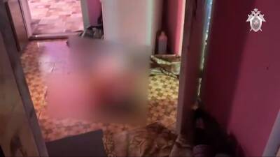 К кровавому убийству семьи под Омском может быть причастна спасшаяся в бойне 14-летняя дочь - Русская семерка - russian7.ru - Омск - Омская обл.