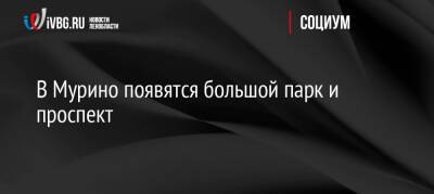 В Мурино появятся большой парк и проспект - ivbg.ru - Украина - Ленинградская обл.