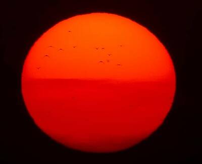 Элиас Готье - Ученые: Раннее Солнце имело систему колец, как у Сатурна - actualnews.org - Россия