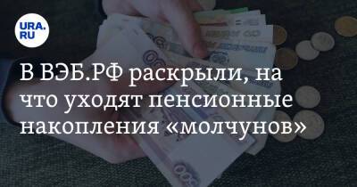 Светлана Бессараб - Александр Попов - В ВЭБ.РФ раскрыли, на что уходят пенсионные накопления «молчунов» - ura.news