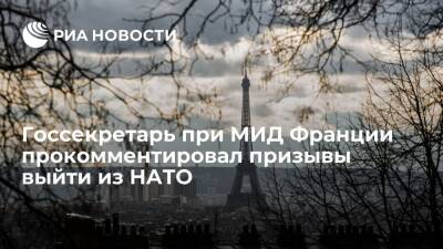 Дмитрий Песков - Эммануэль Макрон - Клеман Бон - В Париже заявили, что выход Франции из НАТО был бы подарком для России - ria.ru - Россия - Украина - Киев - Франция - Румыния - Париж