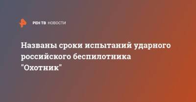 Названы сроки испытаний ударного российского беспилотника "Охотник" - ren.tv - Новосибирск