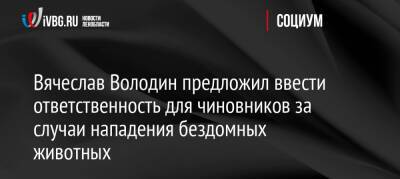 Вячеслав Володин - Вячеслав Володин предложил ввести ответственность для чиновников за случаи нападения бездомных животных - ivbg.ru - Россия - Украина - Забайкальский край