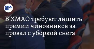 Наталья Комарова - В ХМАО требуют лишить премии чиновников за провал с уборкой снега - ura.news - Югра