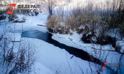 Дарья Сеймовская - Компанию, слившую в питьевой источник Челябинска нечистоты, наказали на скромную сумму - fedpress.ru - Челябинская обл. - Челябинск - Экология