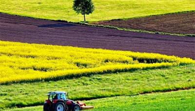 Участниками рынка земли в Украине выступают от 1% до 3% фермеров - специалист - bin.ua - Украина